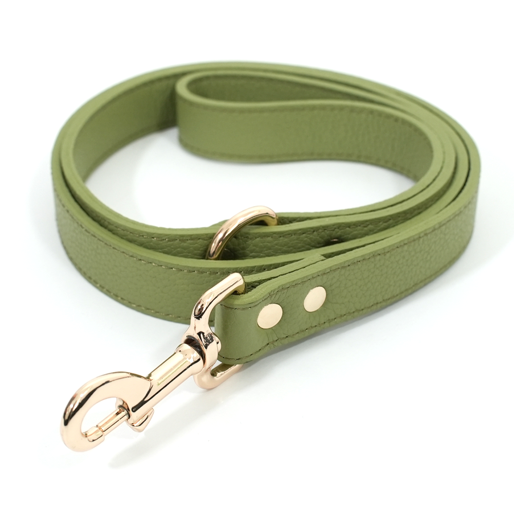 Collar Cavalier Verde