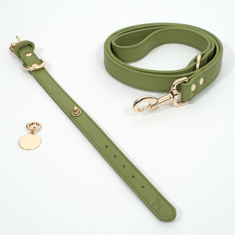 Collar Cavalier Verde
