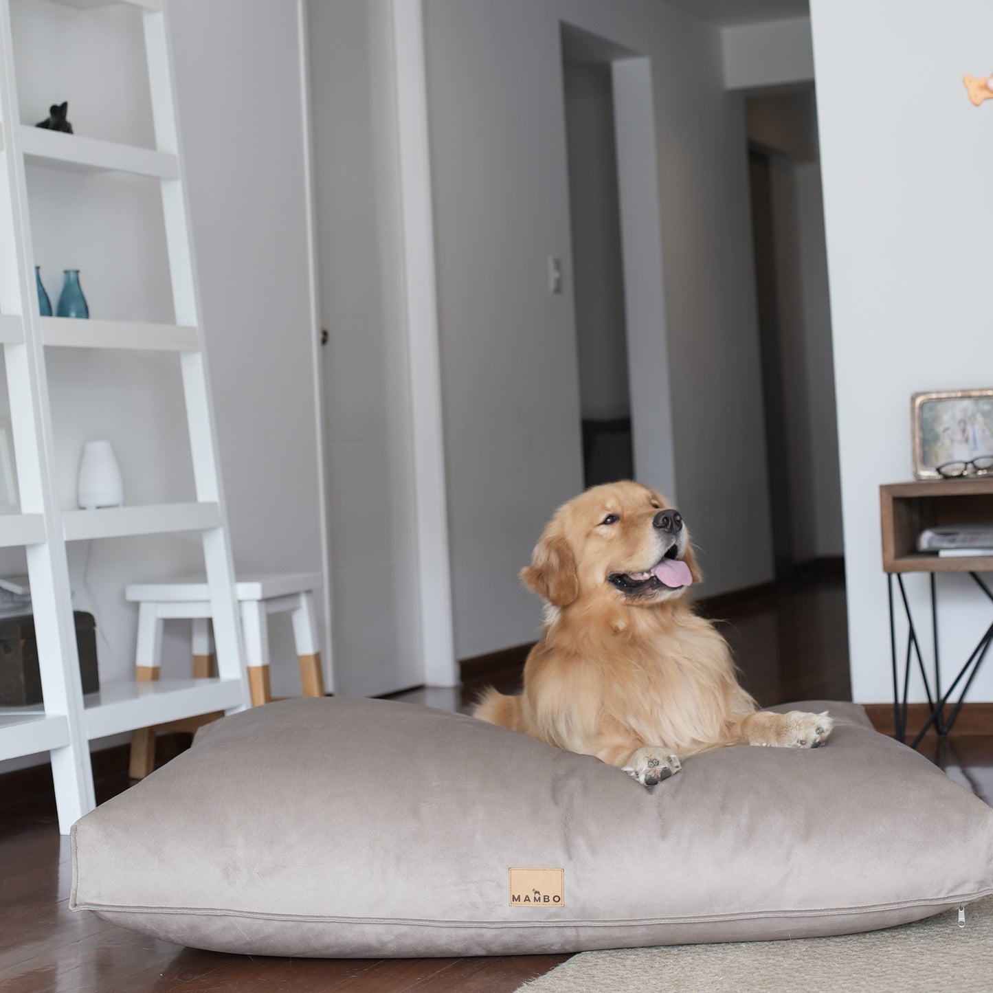 Cama Laika