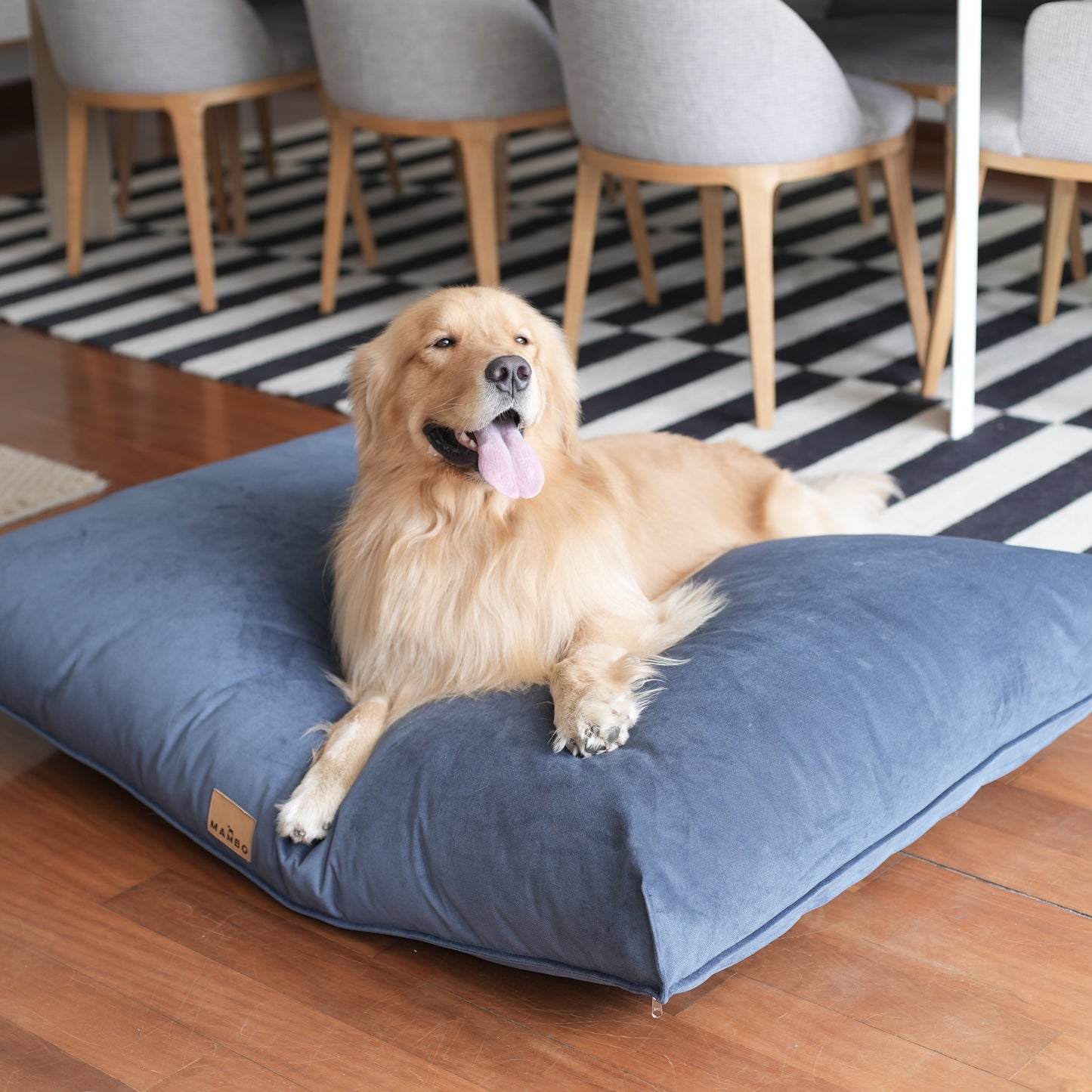 Cama Laika