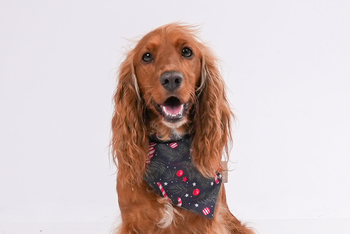 Bandana Candy