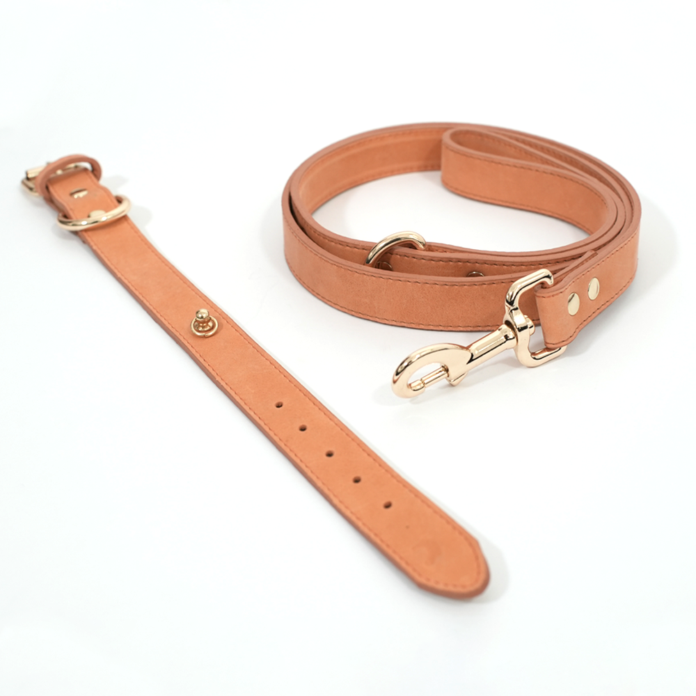 Collar Cavalier Coral