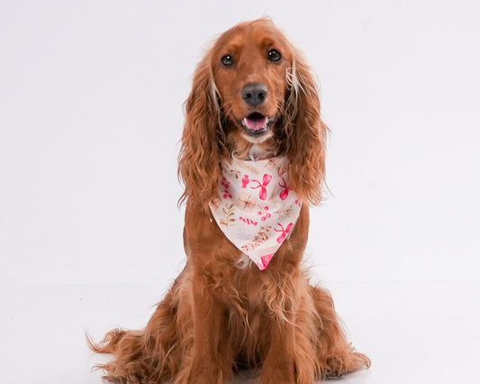 Bandana Lazos