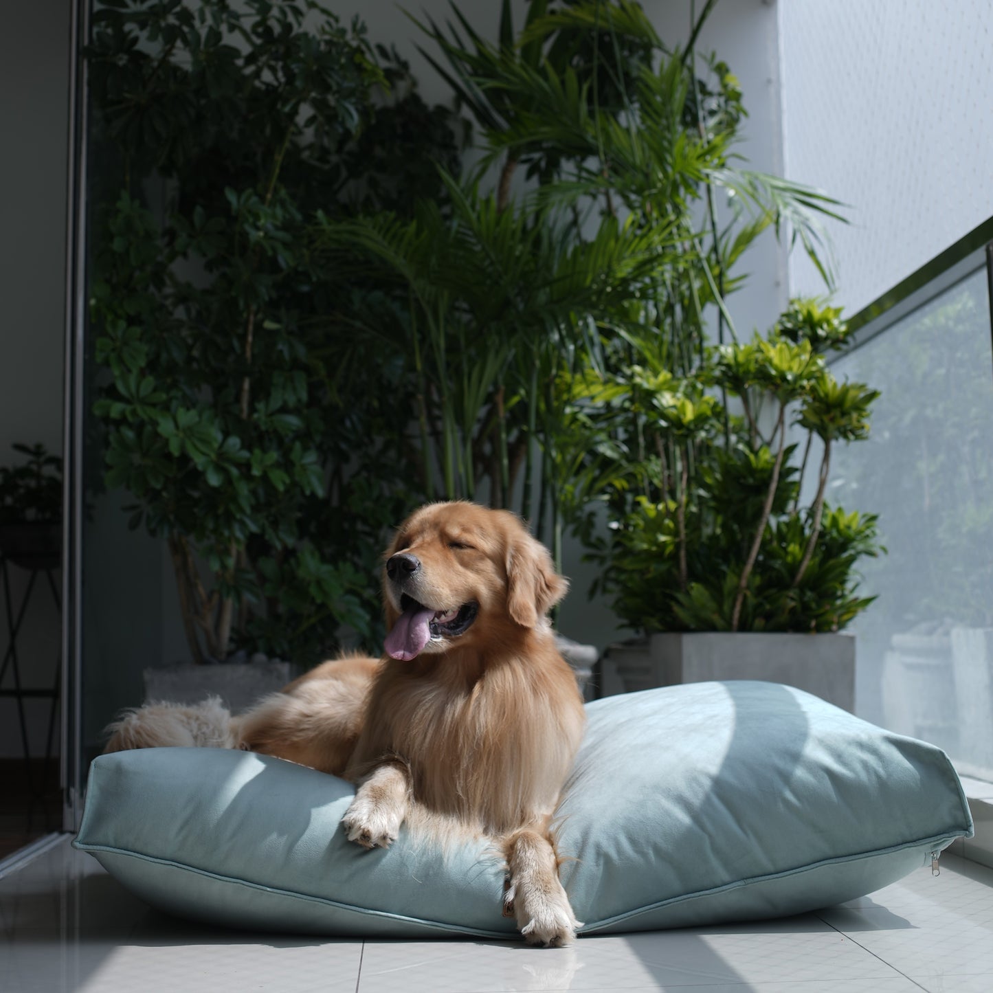 Cama Laika