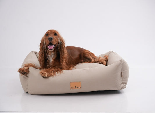 Cama Jack - Beige