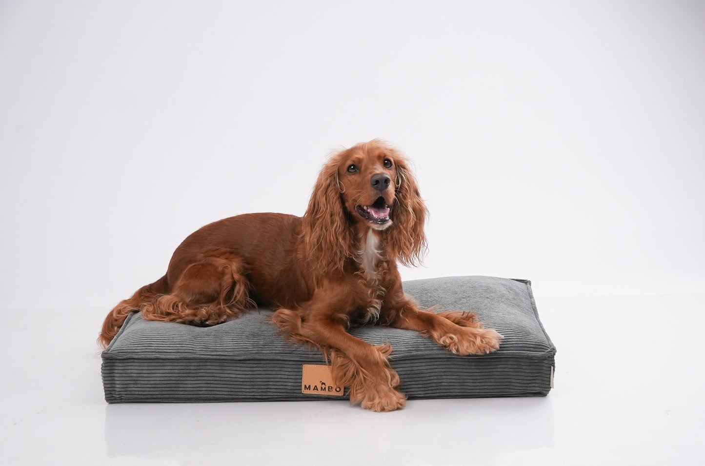 Springer Soft Foam
