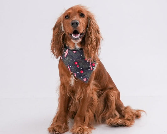 Bandana Candy