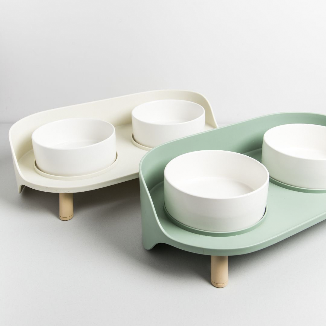 Chubby Bowl - Arena