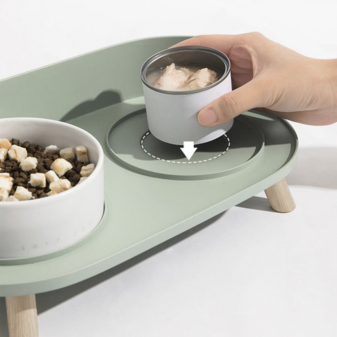 Chubby Bowl - Arena